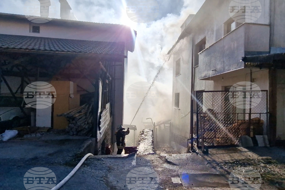 Смолян - пожар