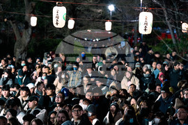 Japan New Year's Eve