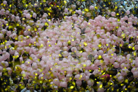 New Year's Eve China