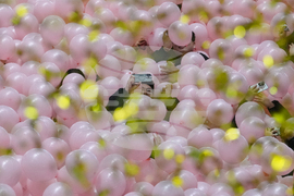 New Year's Eve China