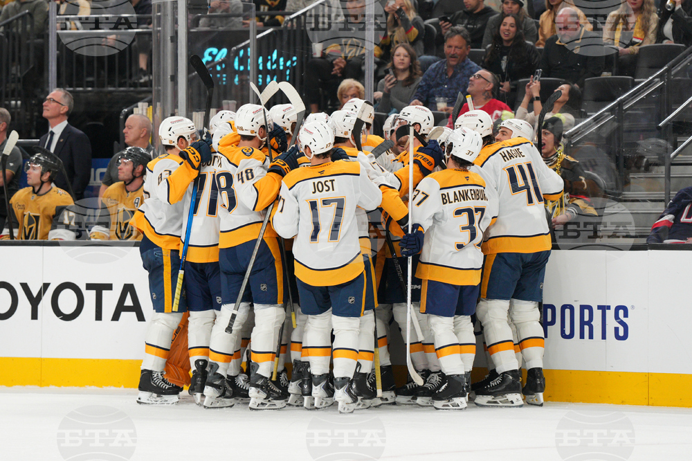 Predators Golden Knights Hockey