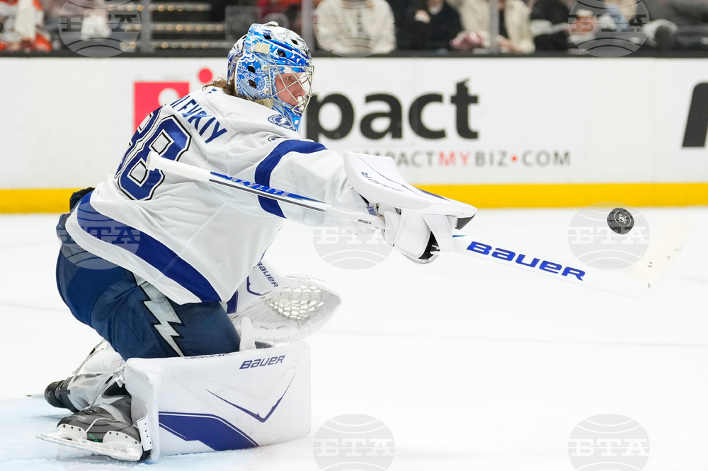 Lightning Ducks Hockey