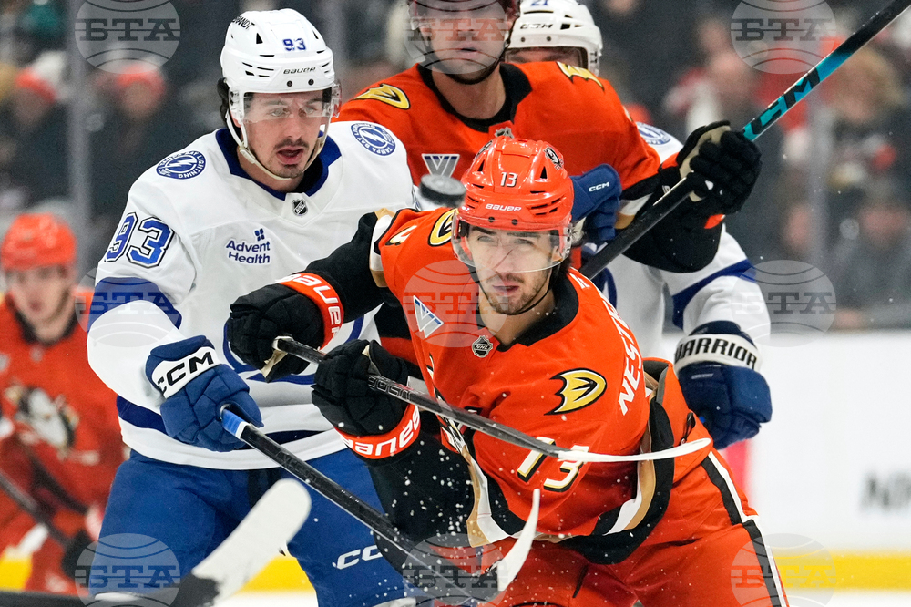 Lightning Ducks Hockey