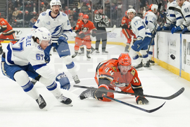 Lightning Ducks Hockey