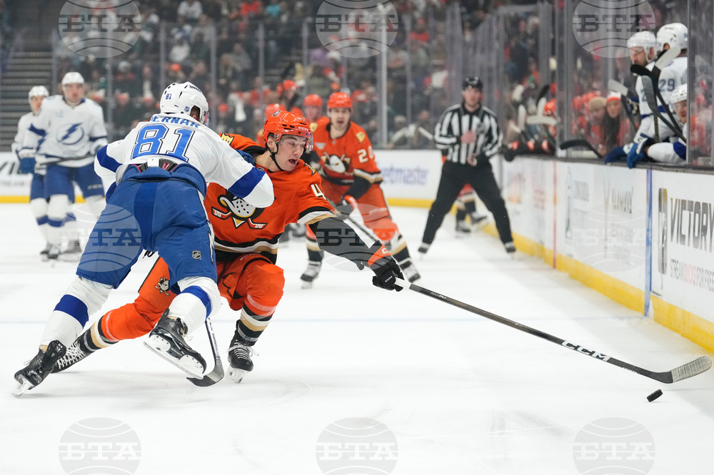 Lightning Ducks Hockey