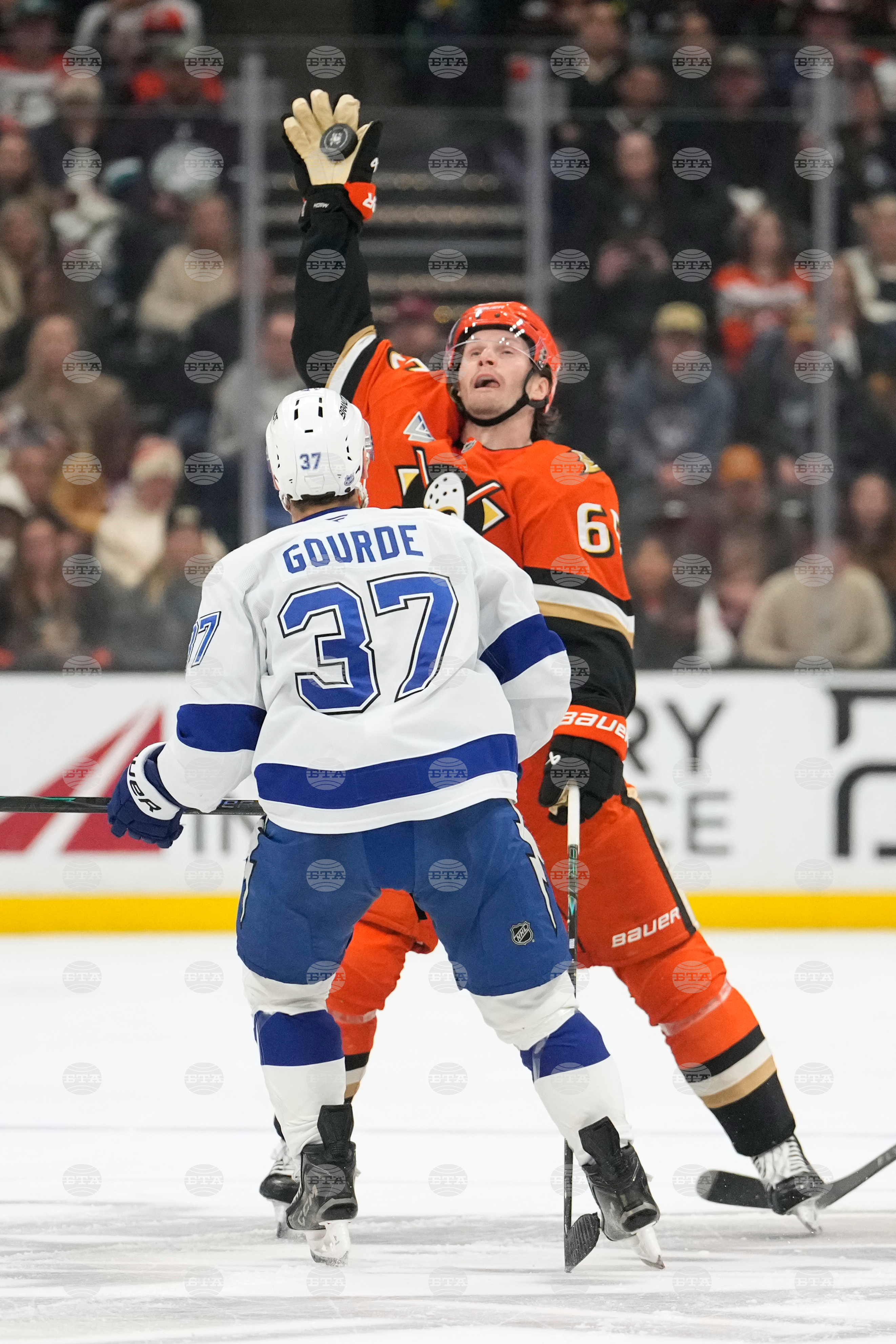 Lightning Ducks Hockey