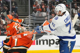 Lightning Ducks Hockey