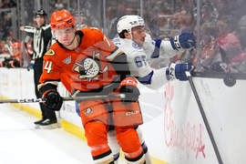 Lightning Ducks Hockey