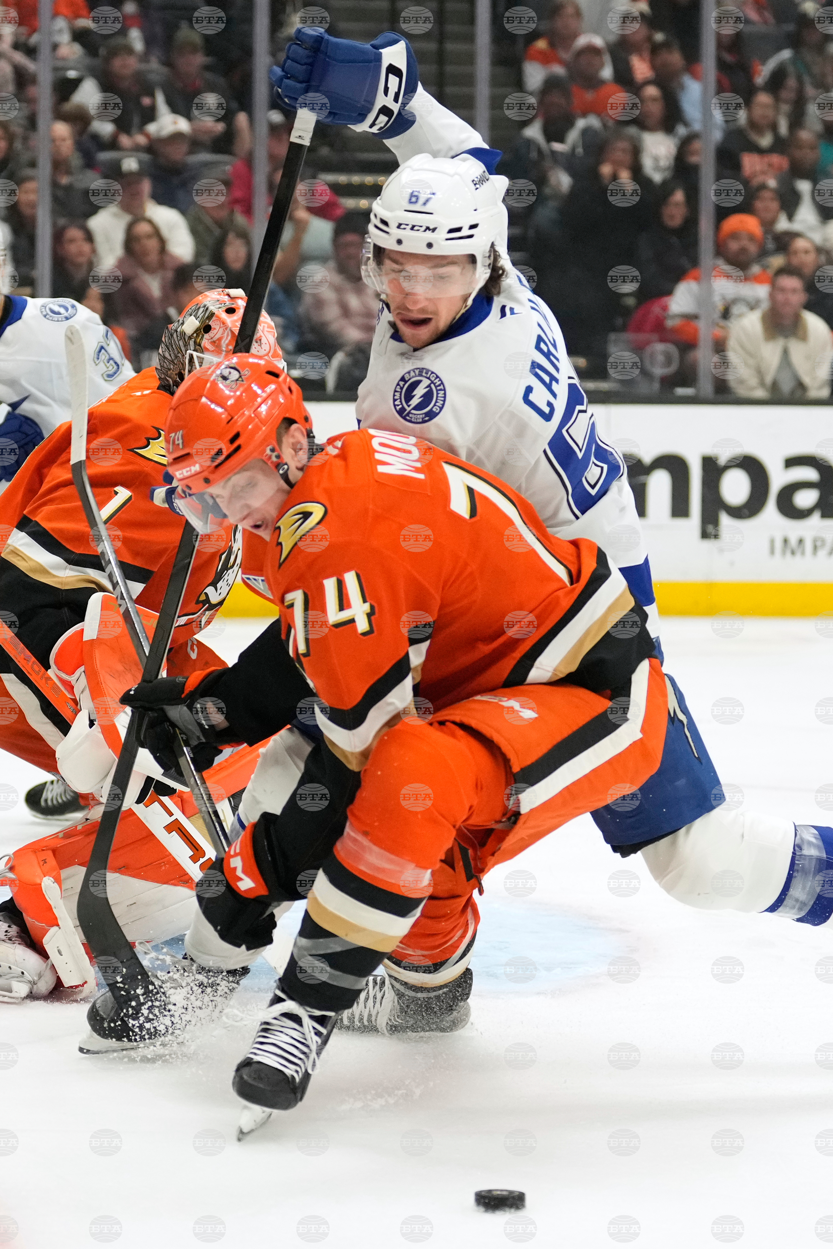 Lightning Ducks Hockey