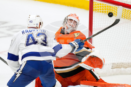 Lightning Ducks Hockey