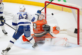 Lightning Ducks Hockey