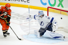 Lightning Ducks Hockey