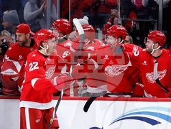 Jets Red Wings Hockey
