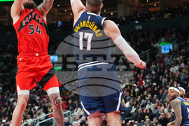 Nuggets Raptor Basketball