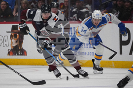 Blues Avalanche Hockey