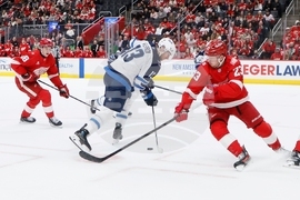 Jets Red Wings Hockey