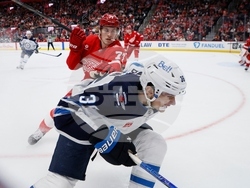 Jets Red Wings Hockey