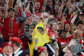 Cotton Bowl Football