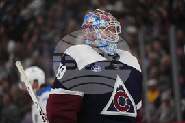 Blues Avalanche Hockey