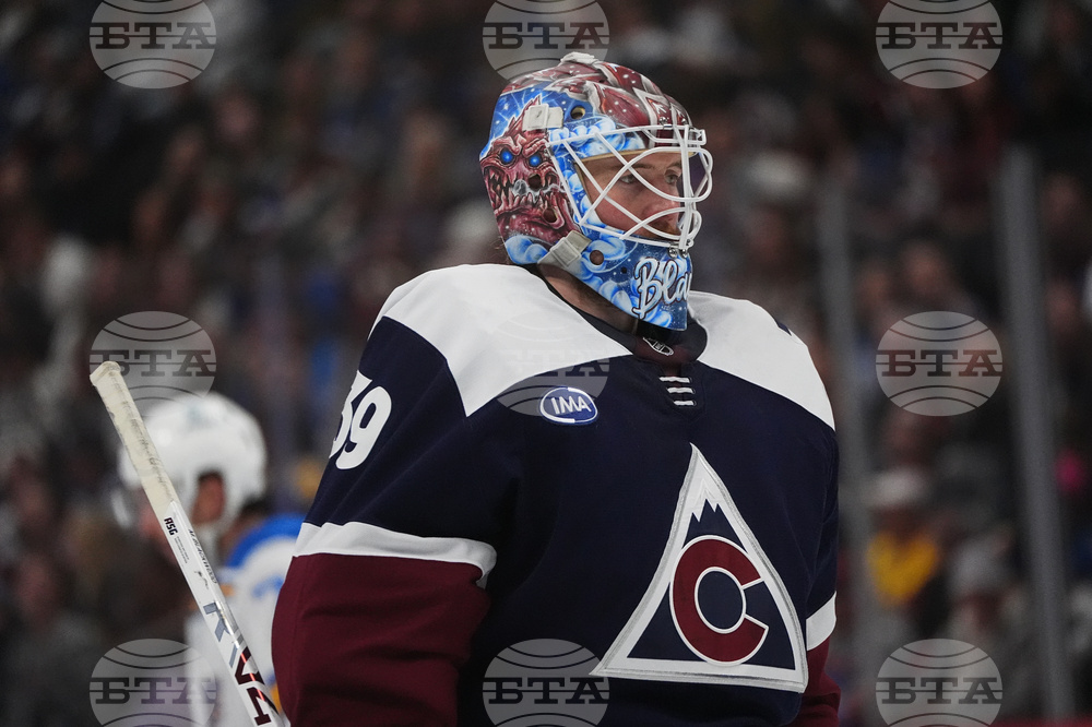 Blues Avalanche Hockey