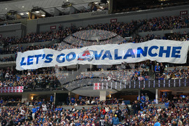 Blues Avalanche Hockey