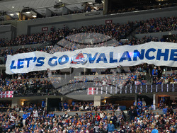 Blues Avalanche Hockey