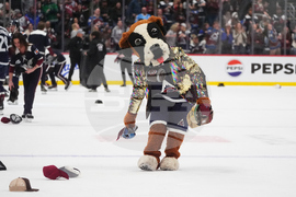 Blues Avalanche Hockey