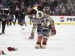 Blues Avalanche Hockey