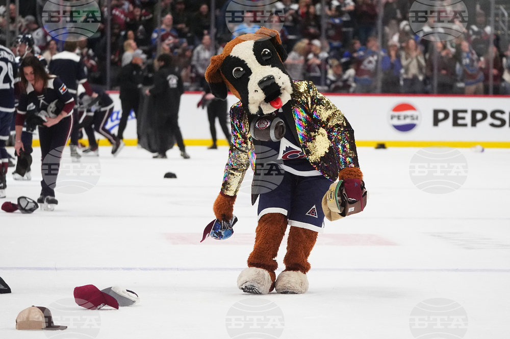 Blues Avalanche Hockey