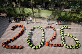 New Year's Day India