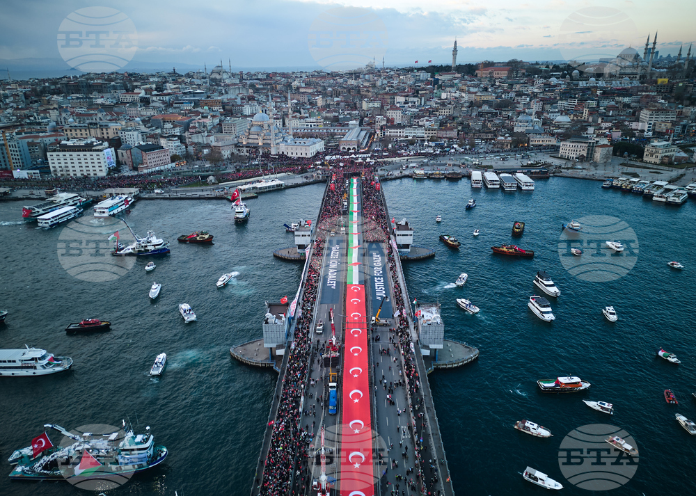 Над половин милион души в Истанбул участваха в масова демонстрация в подкрепа на Газа в първия ден на новата година