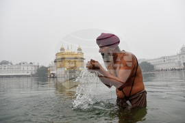 New Year's Day India