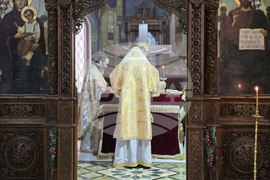 Видин - митрополит Пахомий - Василиева литургия