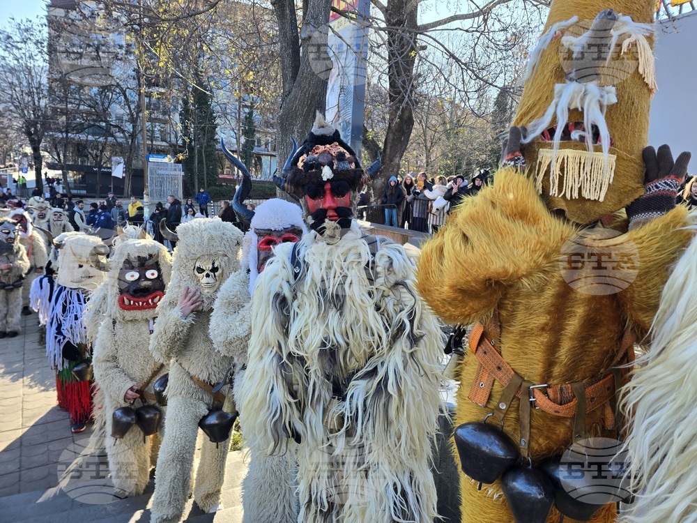 Петрич - Традиционни станчинарски игри „Сурва“ - 2026 г.