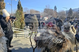 Петрич - Традиционни станчинарски игри „Сурва“ - 2026 г.