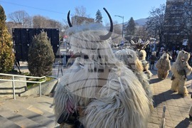 Петрич - Традиционни станчинарски игри „Сурва“ - 2026 г.