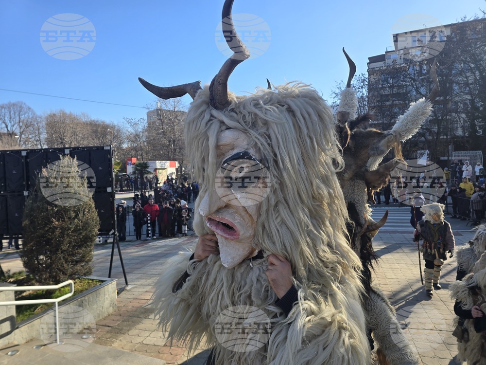 Петрич - Традиционни станчинарски игри „Сурва“ - 2026 г.