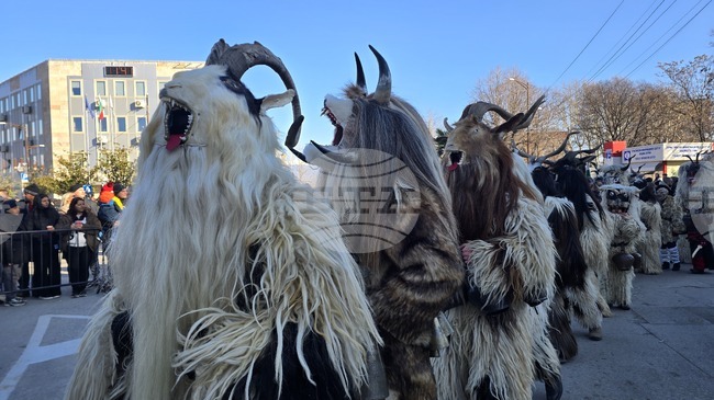 Групата на квартал "Дълбошница", с ръководител Красимир Пантазиев, се класира на първо място в станчинарски игри "Сурва" – 2026