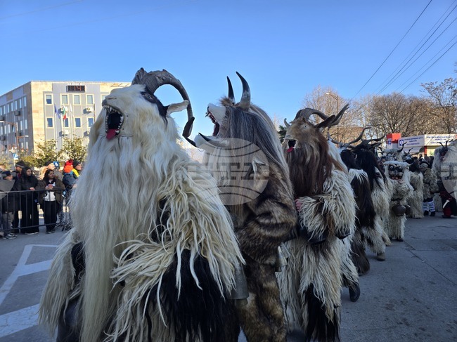 Групата на квартал "Дълбошница", с ръководител Красимир Пантазиев, се класира на първо място в станчинарски игри "Сурва" – 2026