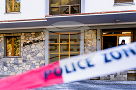 Switzerland Bar Fire