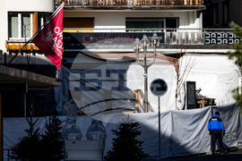 Switzerland Bar Fire