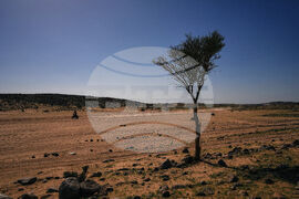 Saudi Arabia Dakar Rally