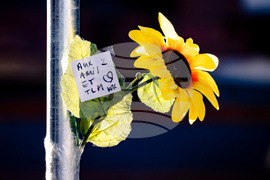 Switzerland Bar Fire