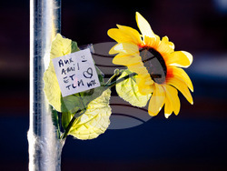 Switzerland Bar Fire