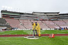 CFP Rose Bowl Football