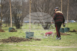 Инициатива „Гора в квартала“