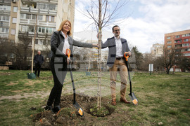 Инициатива „Гора в квартала“