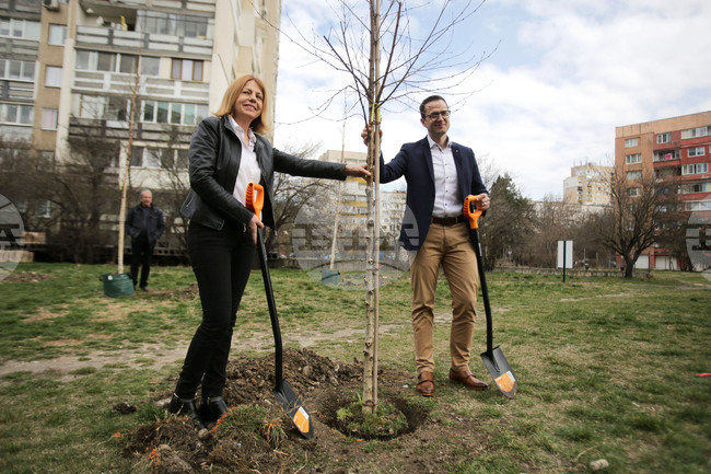 Инициатива „Гора в квартала“