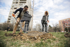 Инициатива „Гора в квартала“