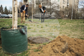 Инициатива „Гора в квартала“